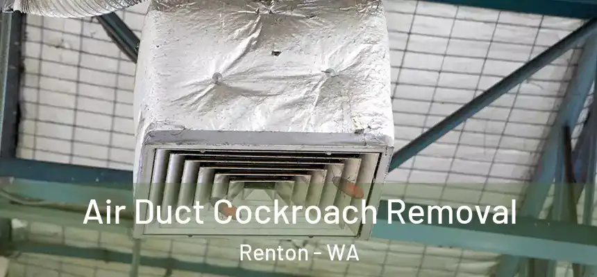Air Duct Cockroach Removal Renton - WA