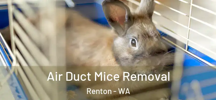 Air Duct Mice Removal Renton - WA