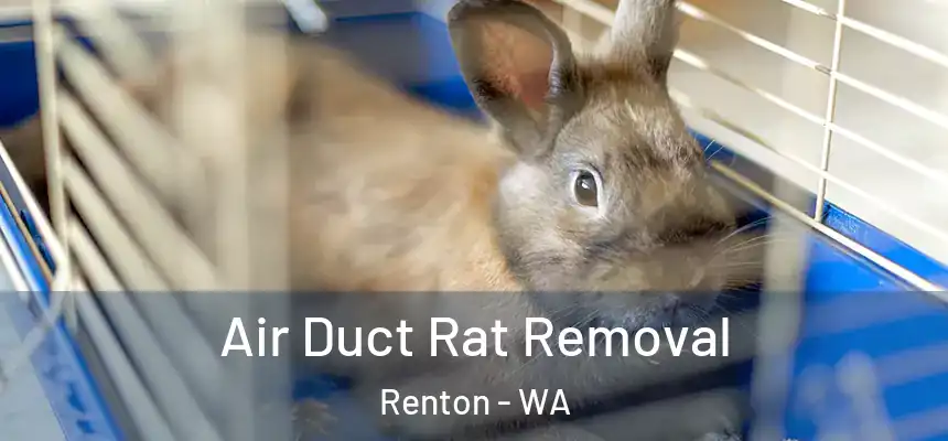 Air Duct Rat Removal Renton - WA