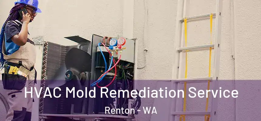  HVAC Mold Remediation Service Renton - WA