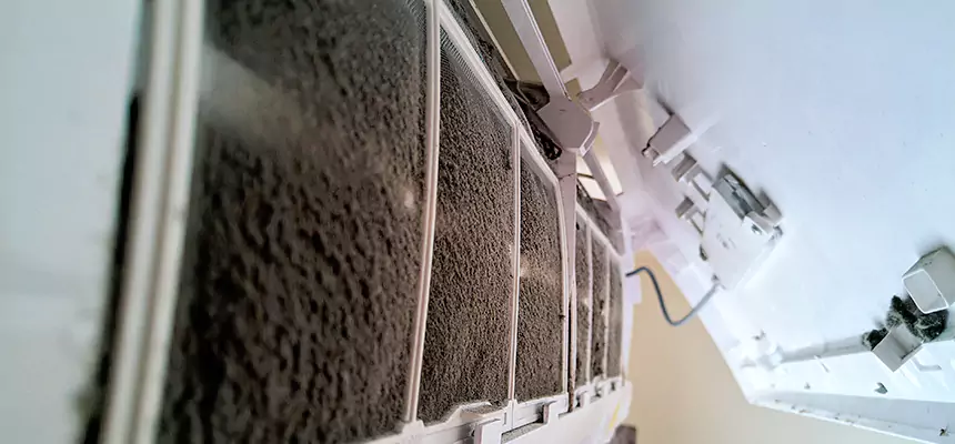 Preventive Air Duct Bacteria Removal in Renton