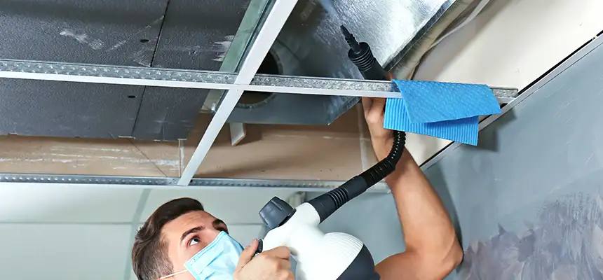 Our Air Duct Rodent Removal Services in Renton, WA