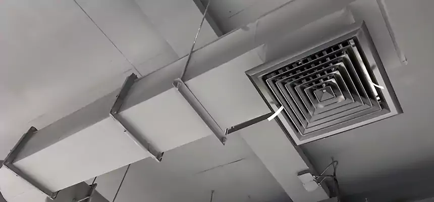 Our Pest Removal From Ducts Services in Renton, WA