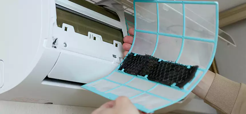 Gentle Ductwork Odor-Control Pet Dander Duct Cleaning in Renton, WA