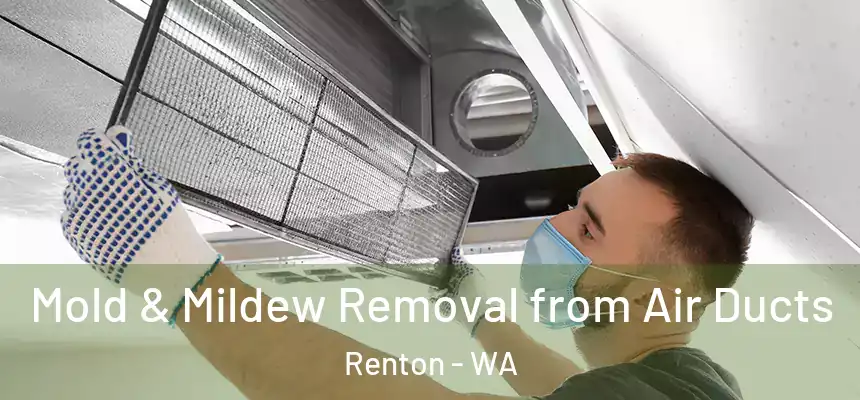 Mold & Mildew Removal from Air Ducts Renton - WA