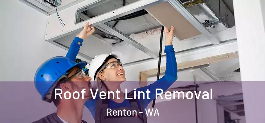 Roof Vent Lint Removal Renton - WA