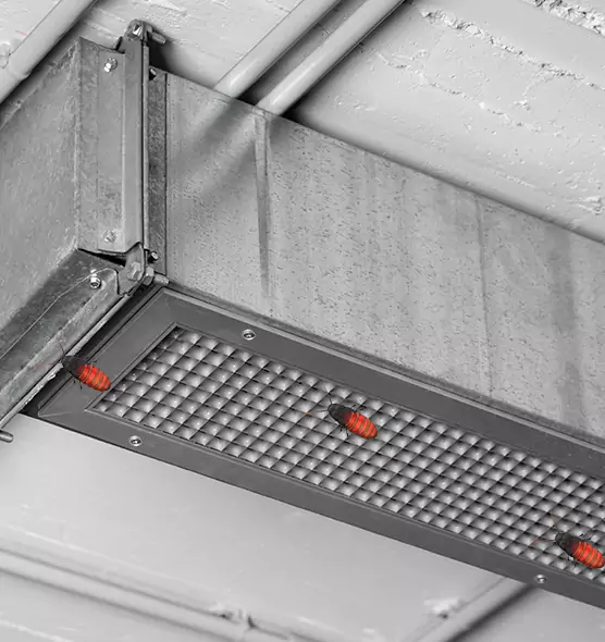 About Air Duct Cockroach Removal in Renton, WA