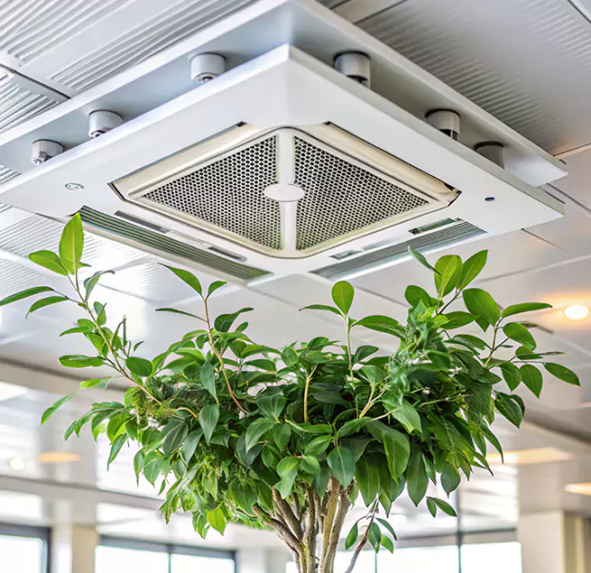 Why Homeowners & Businesses Trust Us in Renton, WA?