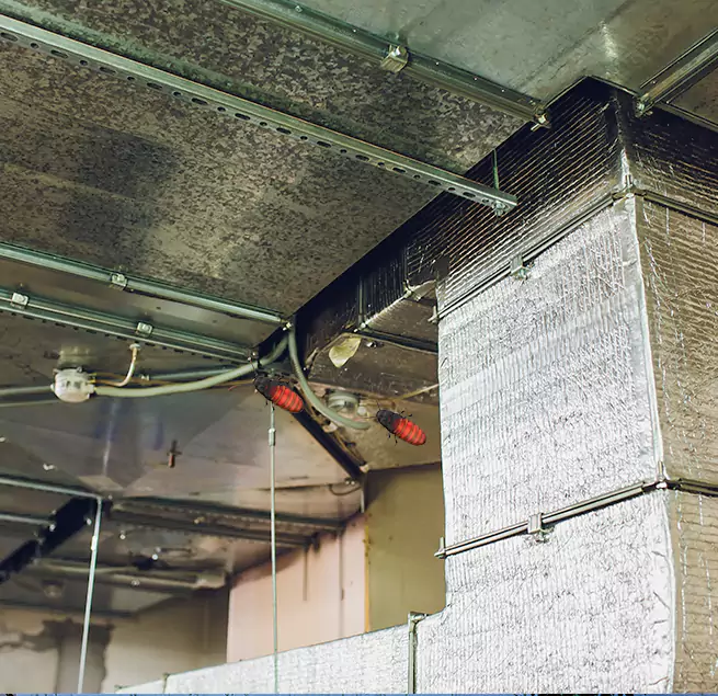 Why Homeowners & Businesses Trust Us Renton, WA?