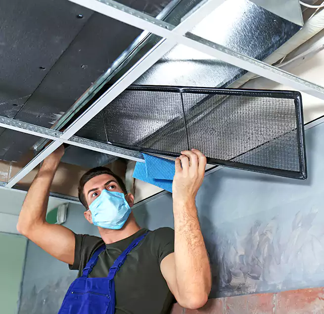 Why Homeowners Businesses Trust Us in Renton, WA