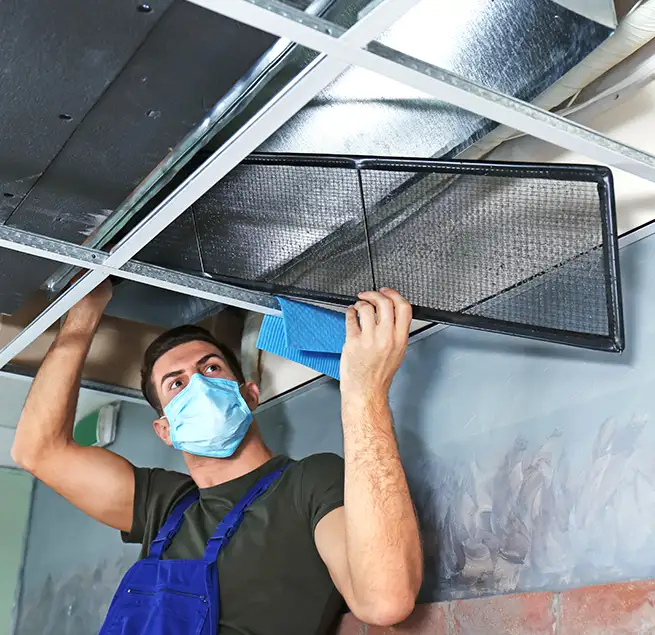 Why Homeowners & Businesses Trust Us in Renton, WA?